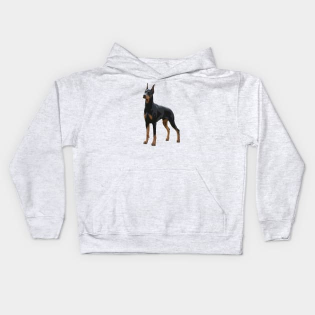 Doberman Pinscher Dog Kids Hoodie by ElegantCat